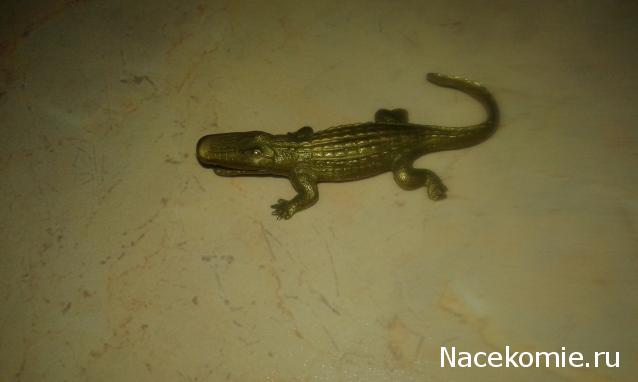 "Живой уголок"