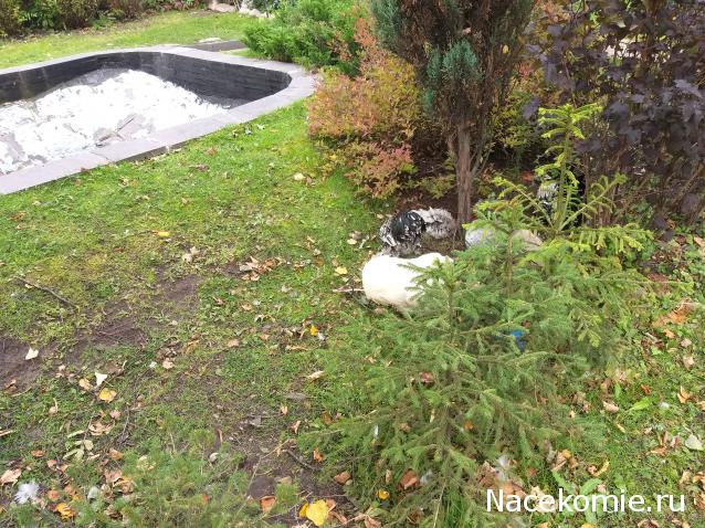 "Живой уголок"