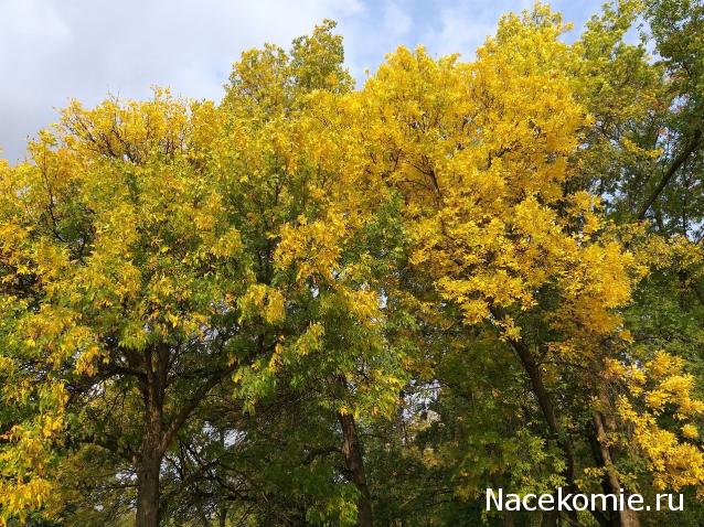 Мой любимый город или дорогие сердцу места