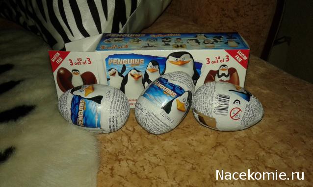 "Живой уголок"