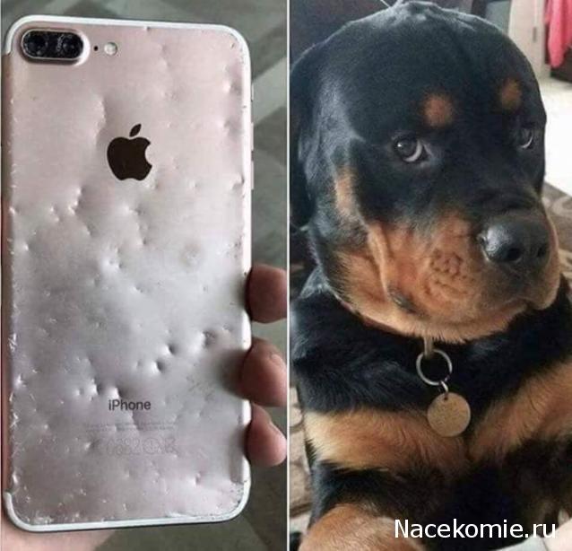 "Живой уголок"