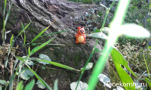 "Живой уголок"