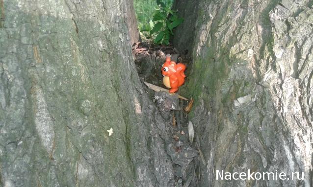 "Живой уголок"