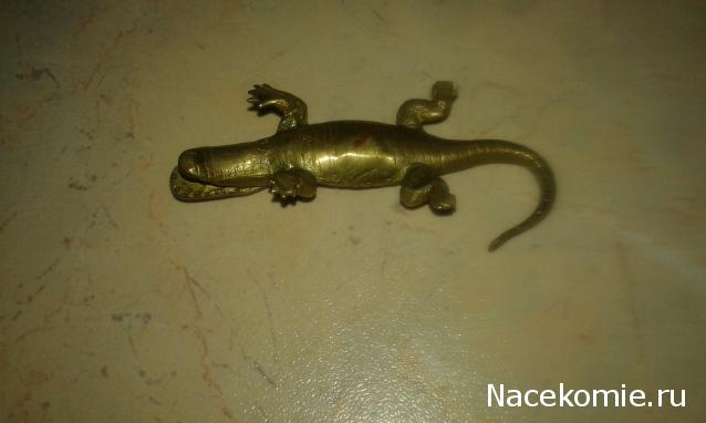 "Живой уголок"