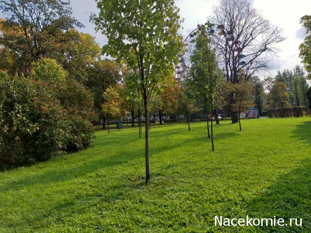 Мой любимый город или дорогие сердцу места