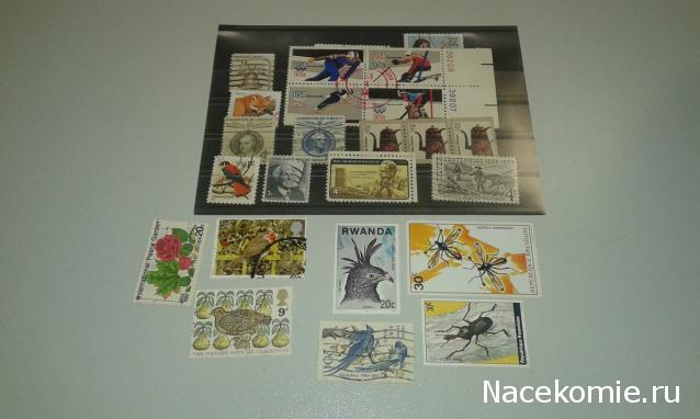 Тракторная болталка