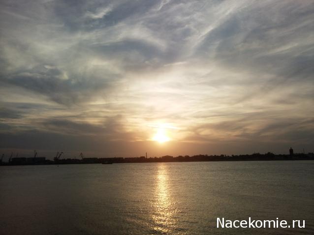 "Живой уголок"