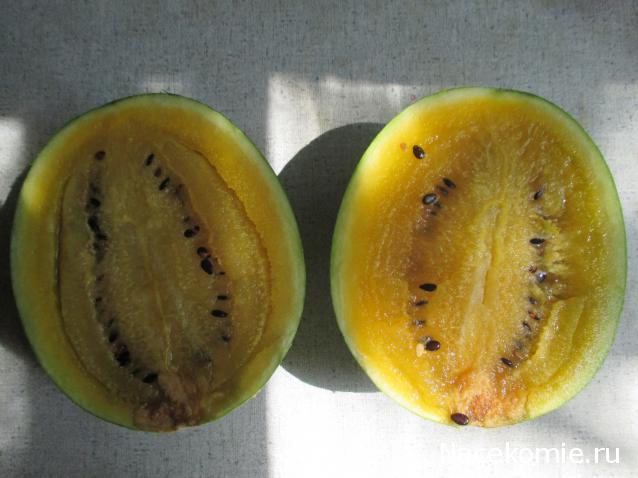 Кулинарный отдел