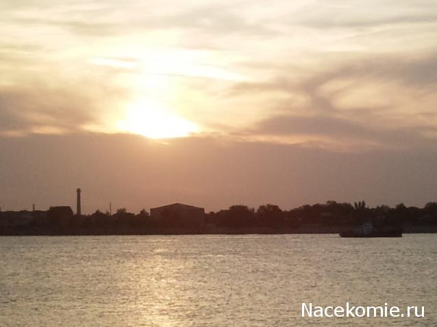 "Живой уголок"