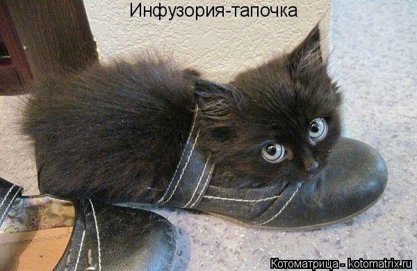 "Живой уголок"