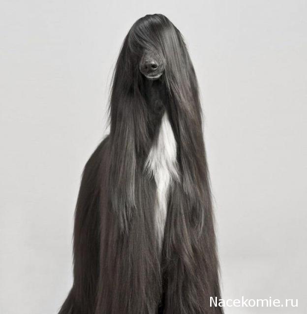 "Живой уголок"