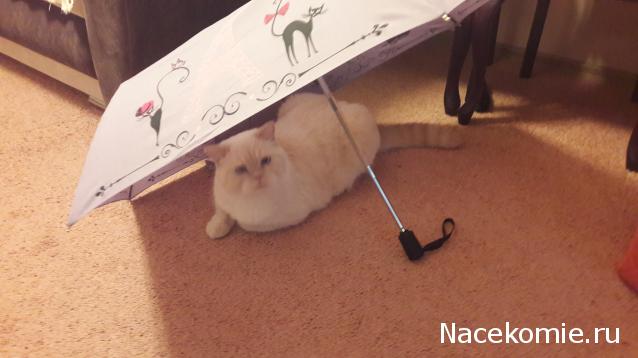 "Живой уголок"