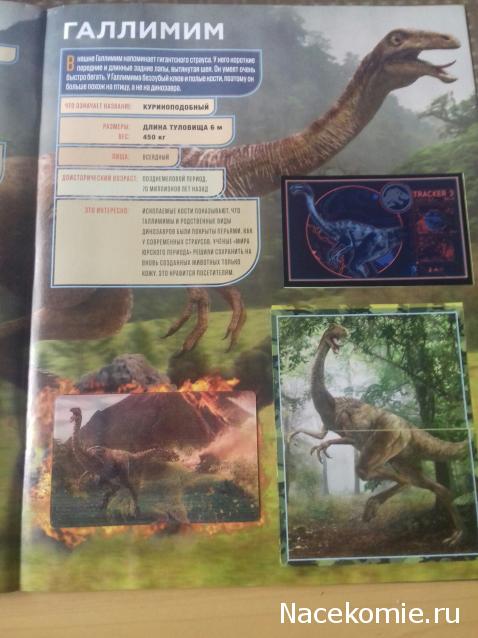 "Живой уголок"