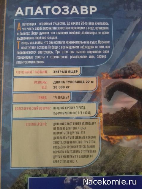 "Живой уголок"