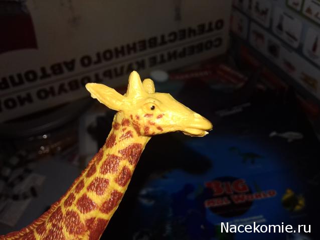 "Живой уголок"