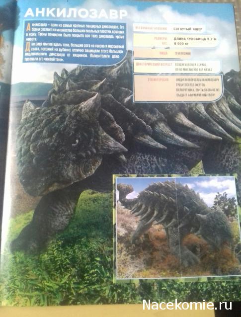 "Живой уголок"