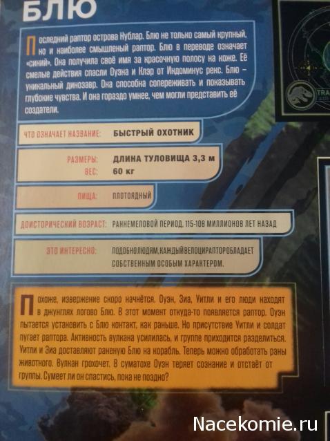 "Живой уголок"