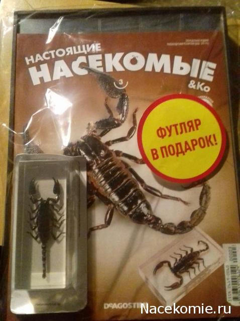 "Живой уголок"