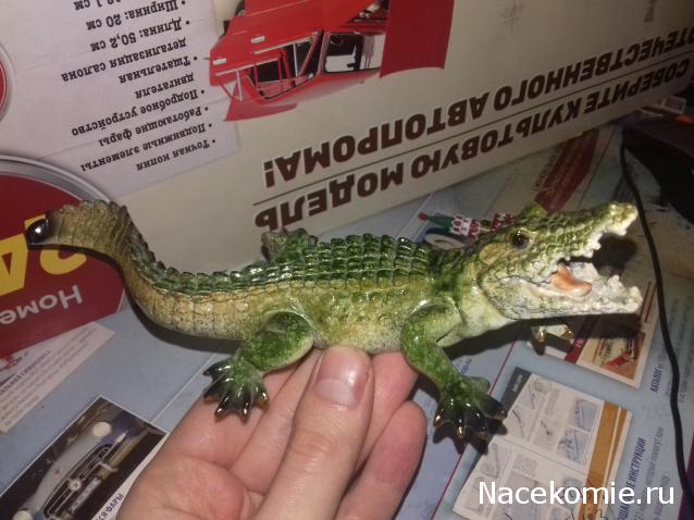 "Живой уголок"