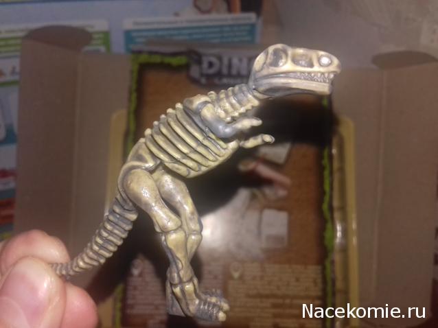 "Живой уголок"