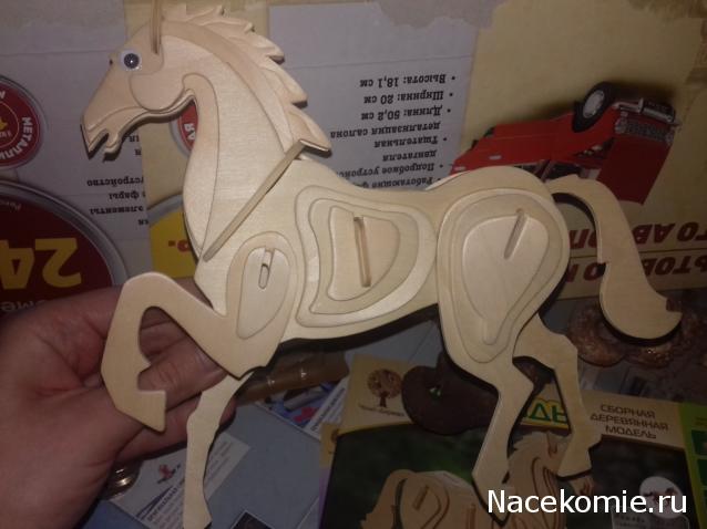 "Живой уголок"