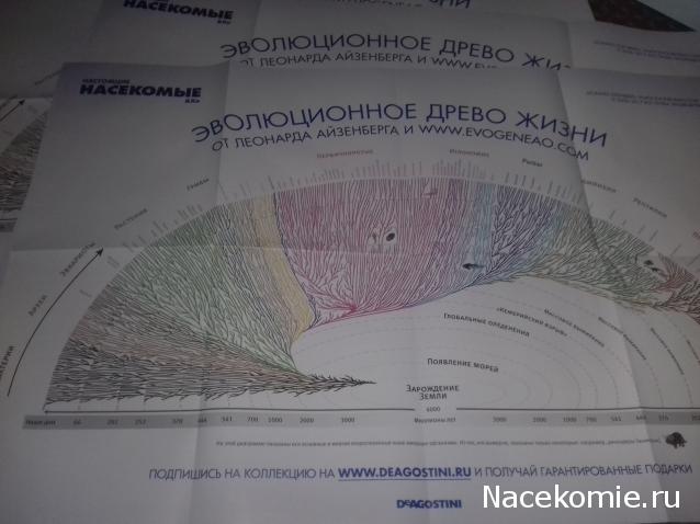 Насекомые & Ко №1 - Маньчжурский Золотой Скорпион