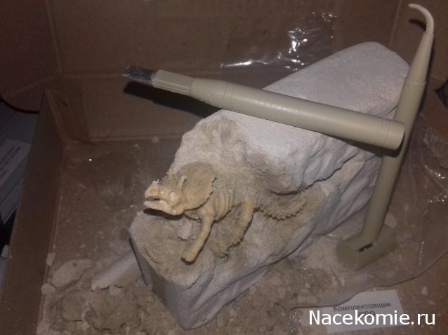 "Живой уголок"