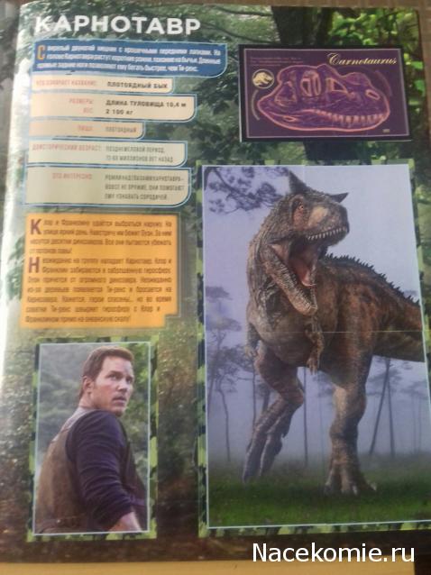 "Живой уголок"