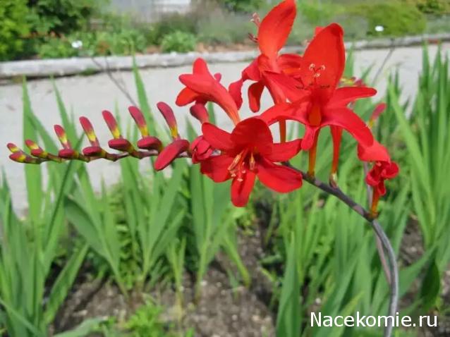 "Живой уголок"