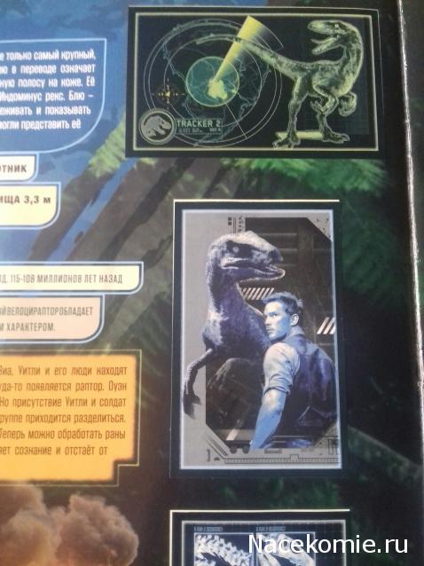 "Живой уголок"