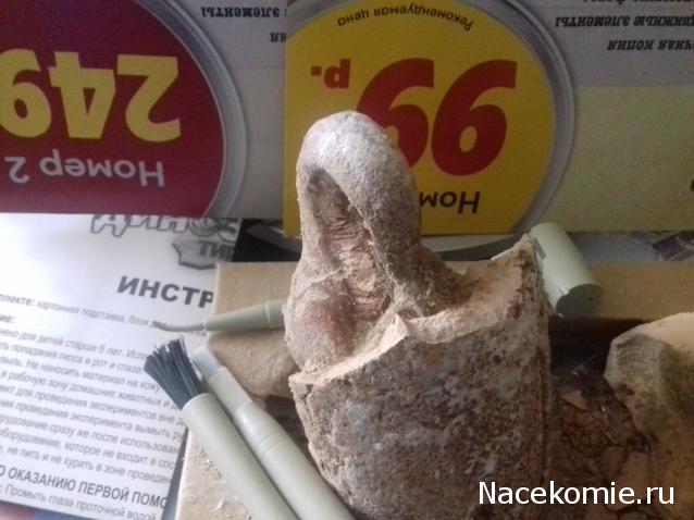 "Живой уголок"