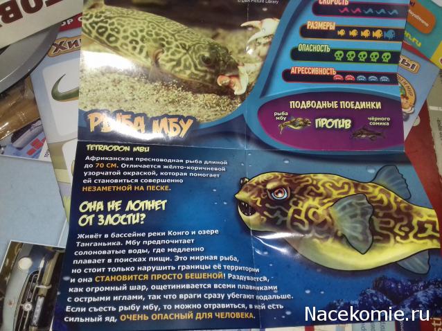 "Живой уголок"