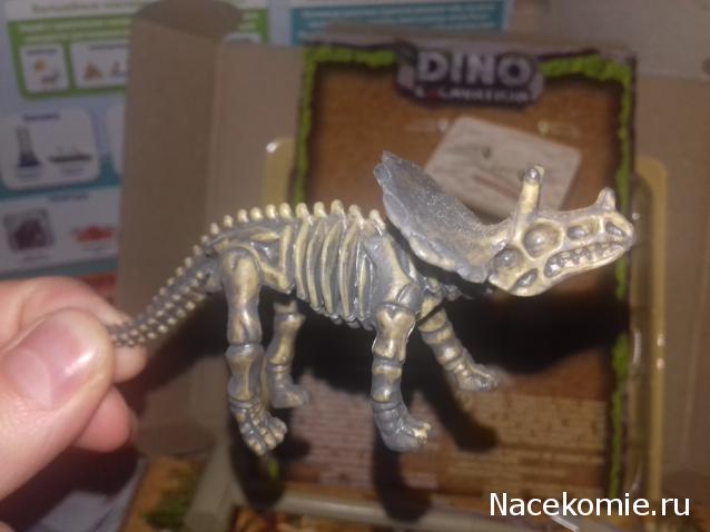 "Живой уголок"