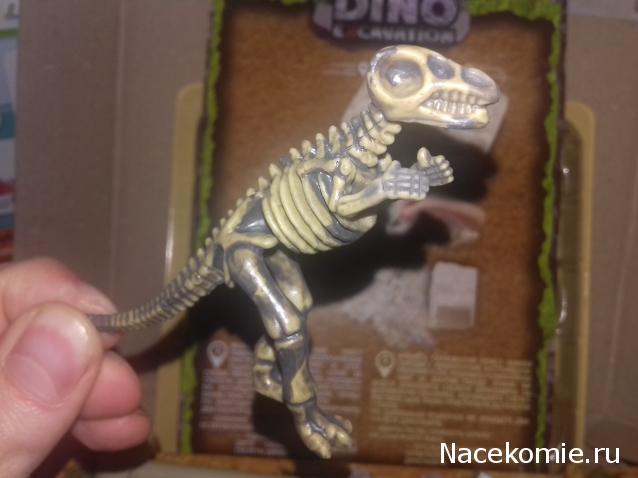 "Живой уголок"