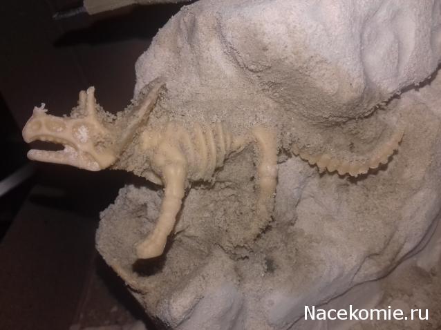 "Живой уголок"