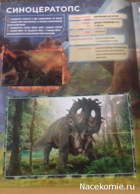 "Живой уголок"