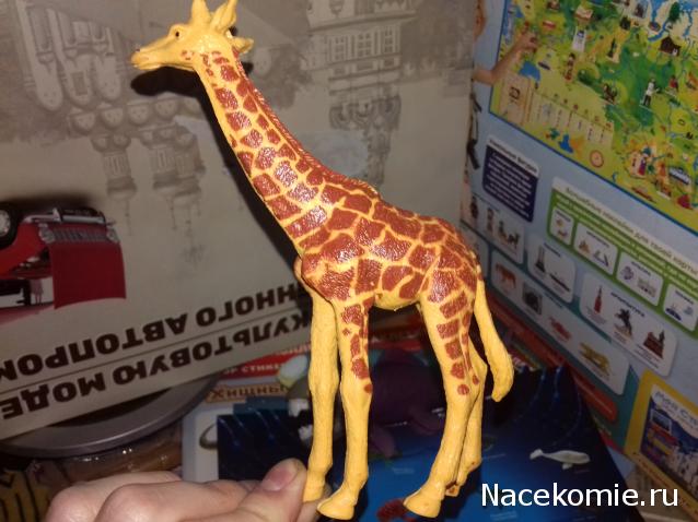 "Живой уголок"