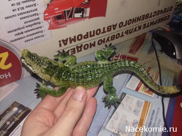 "Живой уголок"