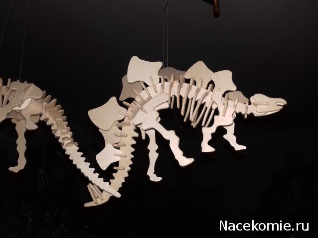 "Живой уголок"