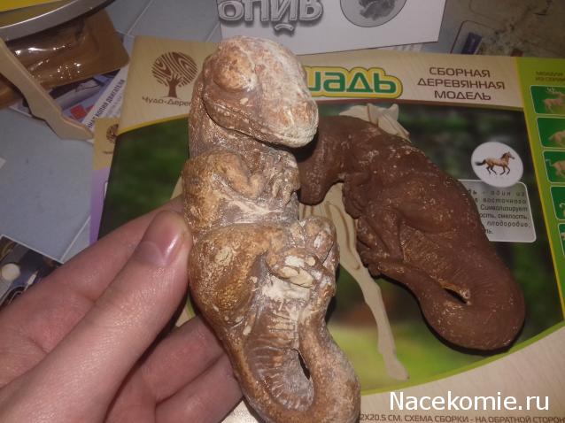 "Живой уголок"