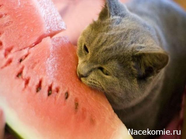 Кулинарный отдел