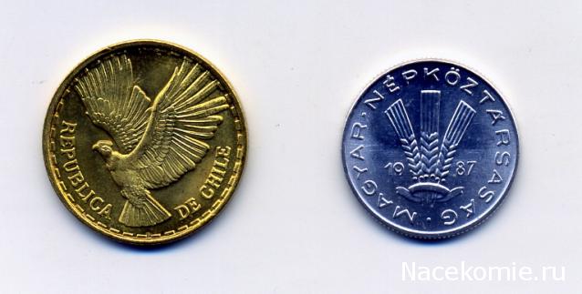 Монеты и банкноты №336 5 сентесимо (Чили), 20 филлеров (Венгрия)