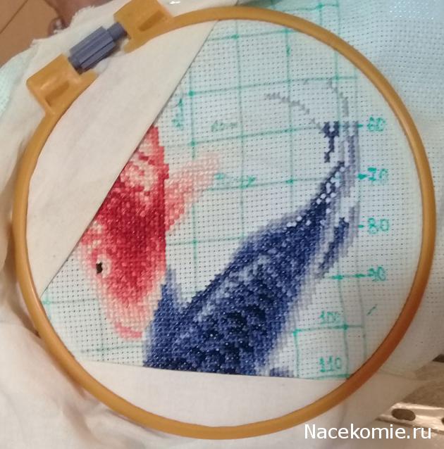 100 крестиков!