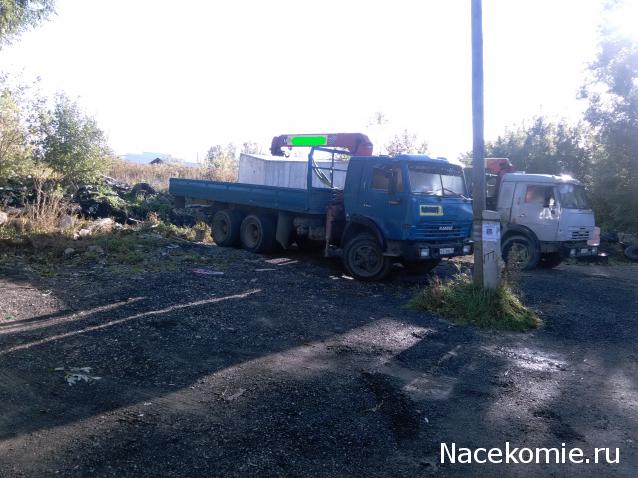 Автолегенды вживую