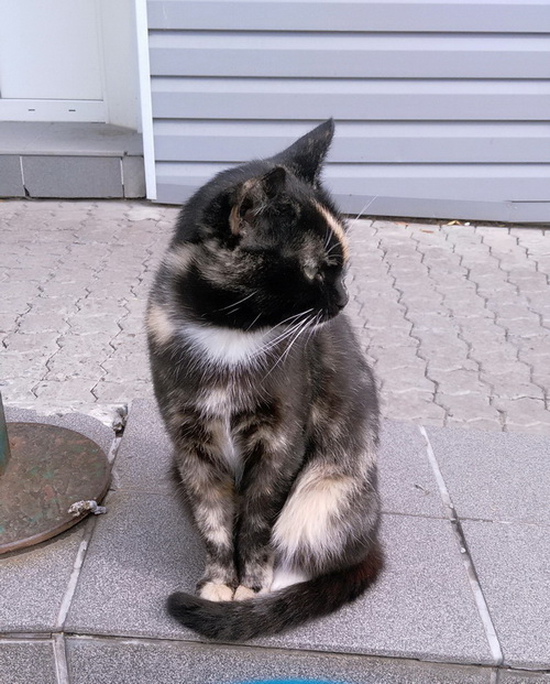 "Живой уголок"