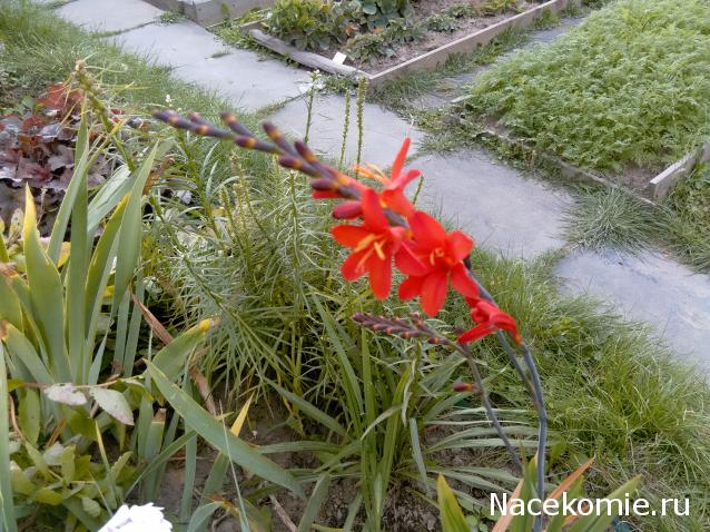 "Живой уголок"