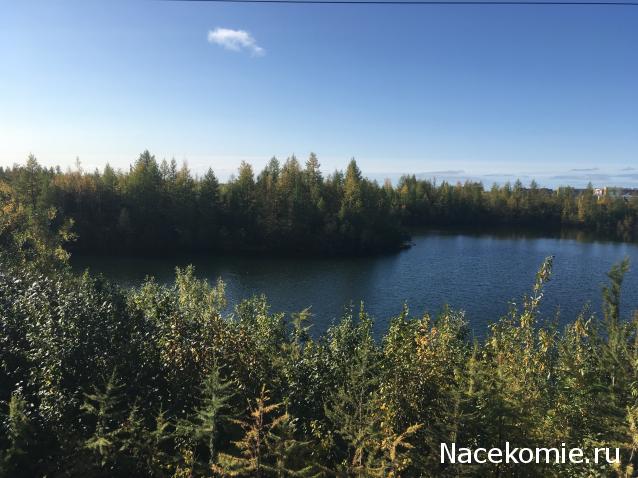 "Живой уголок"