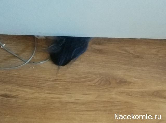 "Живой уголок"