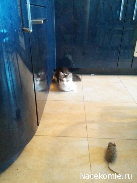 "Живой уголок"