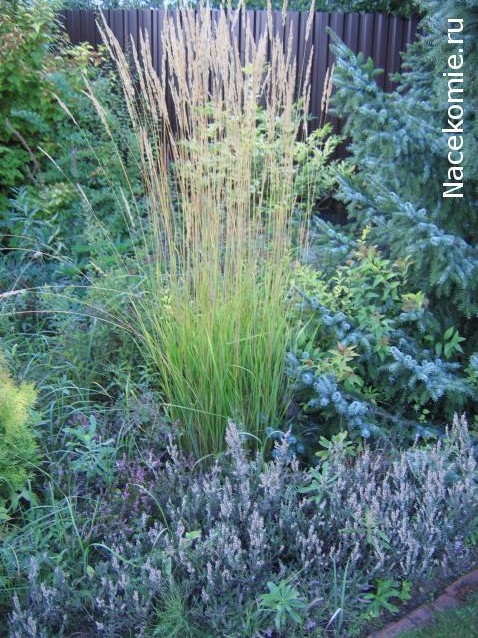 Galya: "My house is my castle"